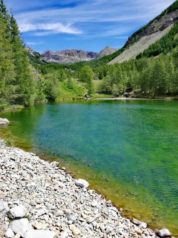 Chambre Aux Gorges De Daluis Guillaumes Eksteriør bilde